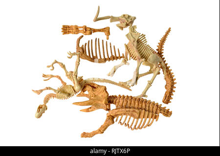 toy dinosaur bones isolated on white background Stock Photo