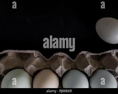 Carton of 5 Matrimony Eggs Bottom Border on Black Background Stock Photo
