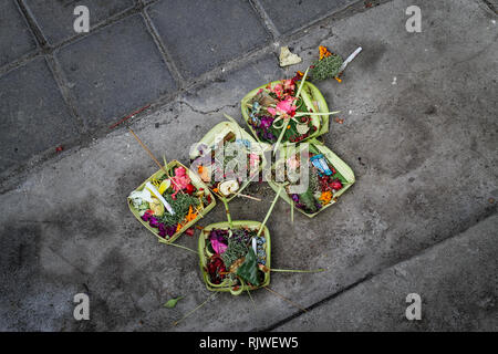 BALI, INDONESIA - November 20, 2013: Balinese Hindu Offerings Called Canang eaten by a Cow on the Beach. Canang Sari is one of the daily Offerings mad Stock Photo
