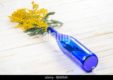 Mimosa Bouquet in a Blue Glass Bottle on White Wood Table Stock Photo