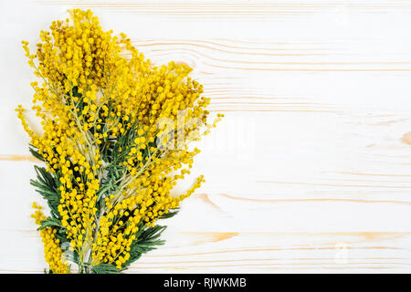 Mimosa Bouquet on White Wood Table. Empty space for text. Layout Blank Backdrop for Advertising Stock Photo