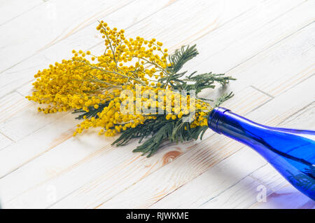Mimosa Bouquet in a Blue Glass Bottle on White Wood Table Stock Photo