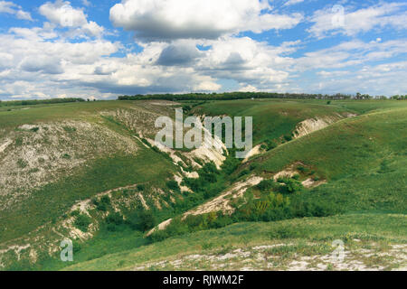Summer landscape with hills and ravines overgrown with grass and blue ...