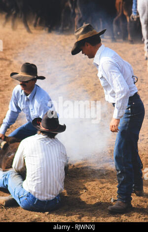 American Cowboys: 1990s Cowboys in the American west during spring branding time on the Triangle Ranch near Paducah Texas ca. 1998. Stock Photo