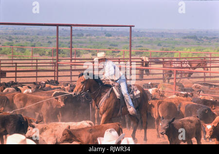 American Cowboys: 1990s Cowboys in the American west during spring branding time on the Triangle Ranch near Paducah Texas ca. 1998. Stock Photo