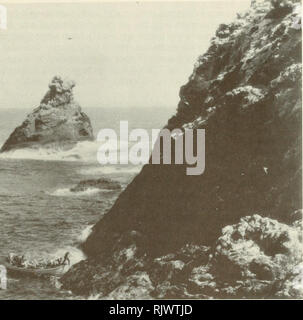 . Atoll research bulletin. Coral reefs and islands; Marine biology; Marine sciences. 65 came up almost to the ledge and then after two to five seconds dropped down again. At frequent intervals heavier swells broke and dashed up over the higher rocks with a heavy wash. Under the direction of Commander King and Mr. Hyle, the surfboat edged in slowly to give opportunity to study the landing. As the boat rose in a heavy swell it was allowed to drift in against the rock and Schlemmer, who was in the bow, jumped ashore. Instantly the order "stern all" was given and the boat backed back a f Stock Photo