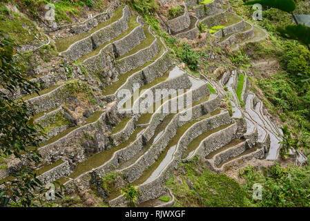 The UNESCO rice terraces of Batad in the mist, Banaue, Mountain Province, Philippines Stock Photo