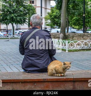 A senior man sitting at the park with a lazy cat in Istanbul, Turkey. Stock Photo