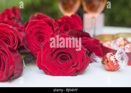 roses red lying flat and scattered on white table outdoors with chocolates and two glasses of champagne or sparkling wine ready for celebration Stock Photo