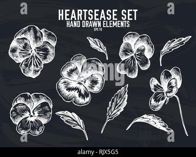 Vector collection of hand drawn chalk heartsease Stock Vector