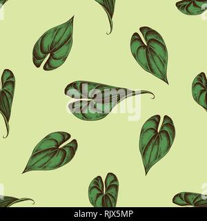 Seamless pattern with hand drawn colored philodendron, banana leaves Stock Vector