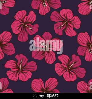 Seamless pattern with hand drawn colored protea, hibiscus Stock Vector