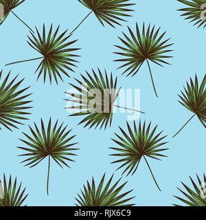 Seamless pattern with hand drawn colored trachycarpus Stock Vector