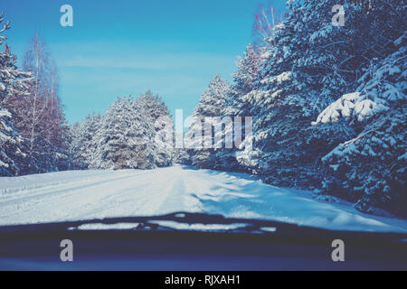 View from the windscreen. Snowy road in the pine winter forest. Winter nature. Snowy forest. Pine branches covered with snow. Stock Photo