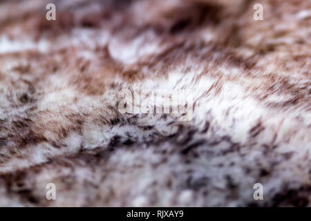 Close up of animal fur. Animal texture background. Fashion industry textile Stock Photo