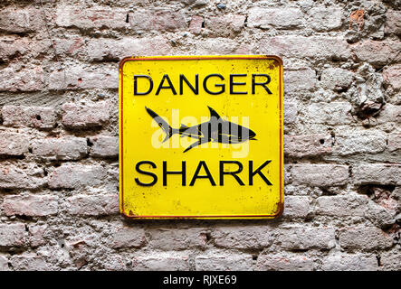 Danger Shark yellow warning sign on an old brick wall with a picture of a shark and text in a close up view Stock Photo