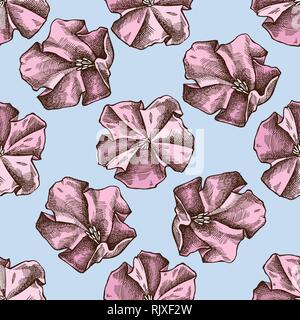 Seamless pattern with hand drawn colored morning glory Stock Vector