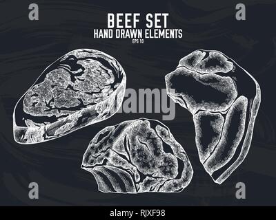 Vector collection of hand drawn chalk beef Stock Vector