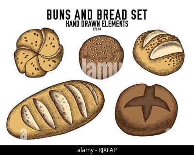 Vector collection of hand drawn colored  buns and bread Stock Vector