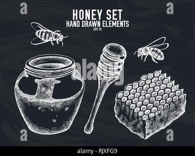 Vector collection of hand drawn chalk honey Stock Vector