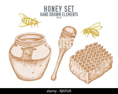 Vector collection of hand drawn pastel honey Stock Vector