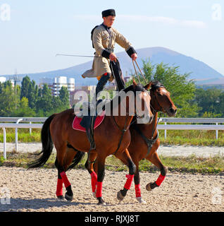 Bold man riding on a brown horses. Stock Photo