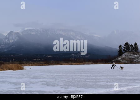 A man practices his stick handling, keeping the puck away from his dog on a frozen pond in the Canadian Rockies. Stock Photo