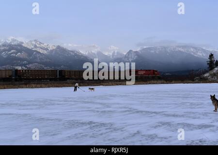 A man practices his stick handling, keeping the puck away from his dog on a frozen pond in the Canadian Rockies. Stock Photo