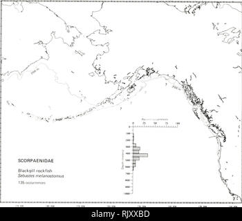 . Atlas and zoogeography of common fishes in the Bering Sea and Northeastern Pacific / M. James Allen, Gary B. Smith. Fishes Bering Sea Geographical distribution.. BLACKGILL ROCKFISH, Sebastes melanostomus (Eigenmann and Eigenmann 1890) Scorpaenidae: Scorpionfishes Literature Reported from Washington to Cedros Island, Baja California (Hart 1973; Eschmeyer and Herald 1983). Previously reported from the Bering Sea and Aleutian Islands, but these were presumably records of the closely related shortraker rockfish, Sebastes borealis, which was not described until 1970 (Barsukov 1970; Tsuyuki and We Stock Photo