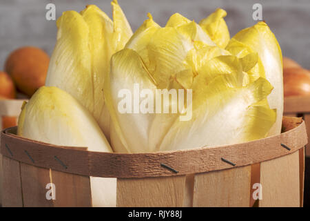 delicious chicory endives from France or Belgium in a small wooden basket Stock Photo