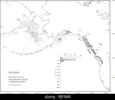 . Atlas and zoogeography of common fishes in the Bering Sea and Northeastern Pacific / M. James Allen, Gary B. Smith. Fishes Bering Sea Geographical distribution.. BUTTERFLY SCULPIN, Hemilepidotus papilio (Bean 1880) Cottidae: Sculpins Taxonomic comment The butterfly sculpin is Melletes papilio in Robins (1980) but Peden (1978), the most recent revision of hemilepidotine cottids, placed this species in the genus Hemilepidotus. Literature Reported from Hokkaido, Japan, and the Sea of Okhotsk to the Chukchi Sea and southeast in the Bering Sea to east of the Pribilof Islands (Andriyashev 1954; Pe Stock Photo