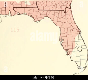 . Atlas of United States trees: volume 5. Florida. Trees. . Please note that these images are extracted from scanned page images that may have been digitally enhanced for readability - coloration and appearance of these illustrations may not perfectly resemble the original work.. Little, Elbert L. (Elbert Luther), 1907-2004; United States. Forest Service. Washington, D. C. : U. S. Dept. of Agriculture, Forest Service Stock Photo