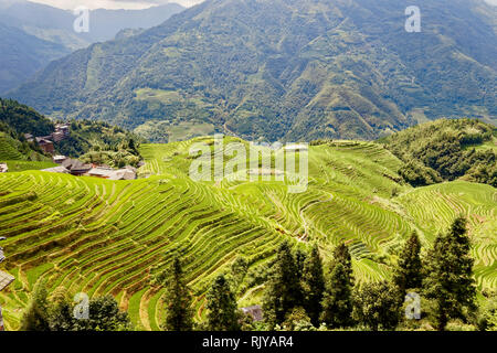 Guilin Region Rice Terraces, China Stock Photo