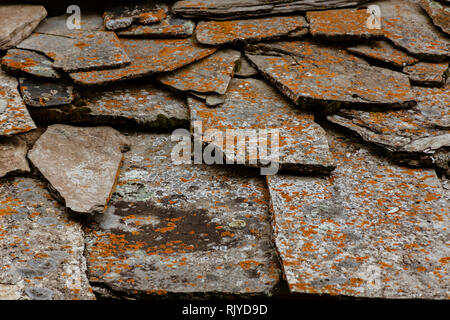 Background pattern from slate tiles with red mold Stock Photo