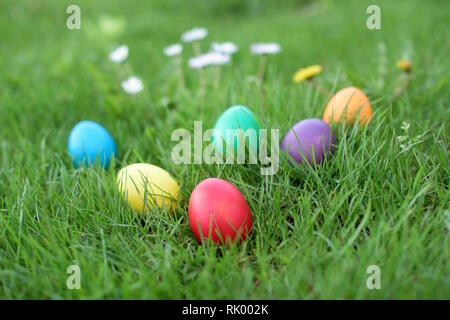 Six hen colored eggs a in a grass - Easter hunt Stock Photo
