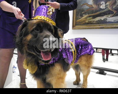 08 February 2019, US, New York: The Leonberger 'Hollywood' comes with his owner, museum visitor Morgan Avila, to the 'Museum of the Dog'. New York has recently opened its own museum again with the theme of dogs. The museum is run by the American Kennel Club (AKC) and has one of the largest collections of dog art in the world. Photo: Johannes Schmitt-Tegge/dpa Stock Photo