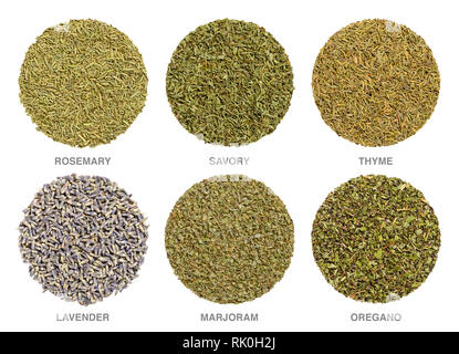 Culinary herbs for Herbes de Provence. Herbal circles. Dried rosemary, savory and thyme are always used, lavender, marjoram and oregano is often added Stock Photo