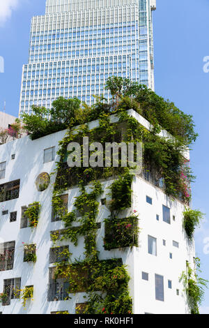 hotel wall and windows covered in leafs Stock Photo