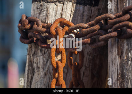 Pier wooden poles tightened together by rusty chains on canal in Venice, Italy. Stock Photo