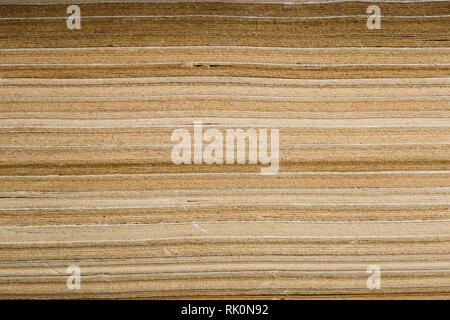 Education and wisdom concept - Macro view of book pages Stock Photo