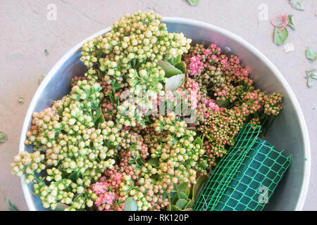 A bucket of flower buds waiting to be used for wedding decorations Stock Photo