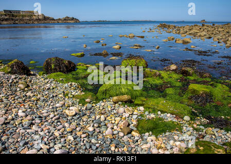 View out to sea from Crabby Bay beach on Alderney Channel Islands. Stock Photo