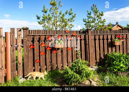 Ginger cat sneaks along a wooden fence with red artificial butterflies Stock Photo