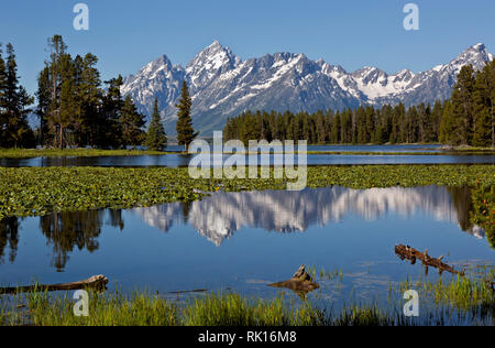 WY03350-00...WYOMING - Mount Moran reflecting in Heron Pond, connected to Jackson Lake, in Grand Teton National Park. Stock Photo