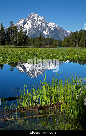 WY03354-00...WYOMING - Mount Moran reflecting in Heron Pond, located on the edge of Jackson Lake, in Grand Teton National Park. Stock Photo