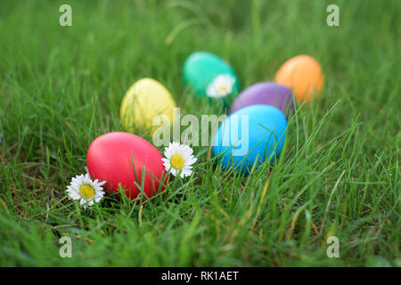 Red Easter egg in a grass in front other colored eggs with small daisies in a meadow. Easter tradition for hunting eggs Stock Photo