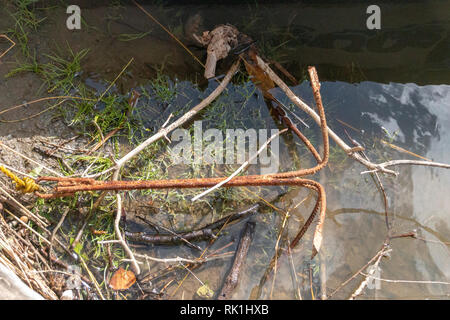 A close up view of a rusted old anchor on the edge of a river bank Stock Photo