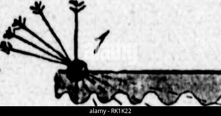 Aly Black and White Stock Photos & Images - Page 2 - Alamy