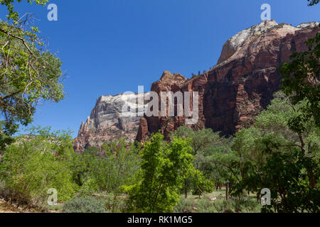 View up Zion Canyon close to Zion Lodge, Zion National Park, Utah, United States. Stock Photo