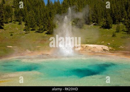 WY03396-00...WYOMING - Imperial Geyser located in the Midway Geyser Basin of Yellowstone National Park.
